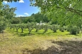 Maison FLAYOSC 4330237_1
