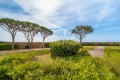 Appartement MANDELIEU-LA-NAPOULE 4330160_2