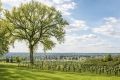 Maison ST-EMILION 4331721_2