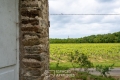 terrain VERTOU 4331804_1