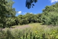 terrain GRIMAUD 4333468_1