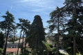 Appartement NICE 4333548_1