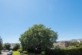 Appartement NICE 4333728_1