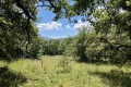 terrain GRIMAUD 4333468_3