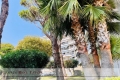 Appartement CANNES 3 pi&egrave;ces 4335290_0