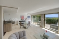 Appartement CANNES 3 pi&egrave;ces 4334557_3