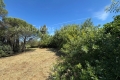 terrain GRIMAUD 4335030_3