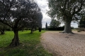 Maison RAPHELE-LES-ARLES 3 pi&egrave;ces 4335114_3