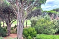 Appartement ST-RAPHAEL 4335441_1
