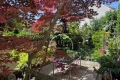Maison FONTENAY SOUS BOIS 4335442_2