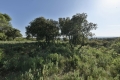 terrain UZES 4336641_1