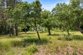 terrain GRIMAUD 4336600_2