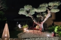 Maison LA GAUDE 4338444_1