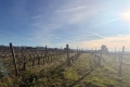 Maison LES ARCS-SUR-ARGENS 4344898_1
