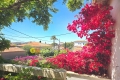 Maison JUAN-LES-PINS 0 pi&egrave;ces 4340632_1