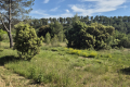 terrain LAMBESC 4339168_2