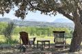 Maison VAISON-LA-ROMAINE 4339418_2