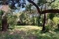 Maison CAP-FERRET 4345643_2
