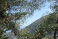 terrain FALICON 4345862_2