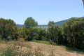 terrain PEGOMAS 4346768_0