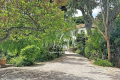 Maison BORMES-LES-MIMOSAS 4346750_2