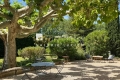Maison ST-REMY-DE-PROVENCE 4347273_3