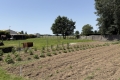Maison EPARGNES 4347559_3