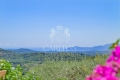 Maison CHATEAUNEUF-GRASSE 4349156_0