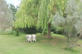 Maison ROGNES 4 pi&egrave;ces 4349343_2