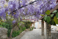 Maison OLLIOULES 4350023_2