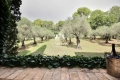 Maison ROQUEFORT-LES-PINS 4350906_2
