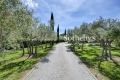 Maison AIX-EN-PROVENCE Garlaban Royante 4350518_3