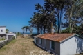 Maison LA PLAINE SUR MER Malakoff 4351959_1