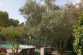 Maison LA ROQUEBRUSSANNE 4354404_2