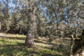 terrain LORGUES 4355751_0