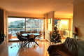 Appartement MANDELIEU-LA-NAPOULE 3 pi&egrave;ces 4355657_1