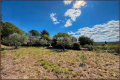 terrain DRAGUIGNAN 4356362_1