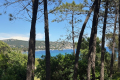 Maison STE-MAXIME 4355688_2