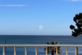 Appartement LA SEYNE-SUR-MER 4355777_2