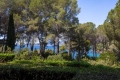 Maison LA CROIX-VALMER 4356092_2