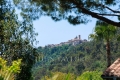 Maison VENCE 4356139_3