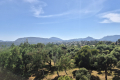 Appartement MANDELIEU-LA-NAPOULE 5 pi&egrave;ces 4357237_1