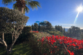 Appartement LES ISSAMBRES 4357606_2