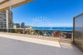 Appartement MONACO 4357852_3
