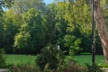 Appartement LE PERREUX SUR MARNE 4359386_2