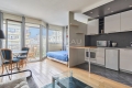 Appartement PARIS 15EME 4362999_2