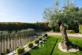 Maison STE-MAXIME 4363067_2