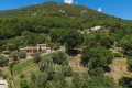 terrain TOURRETTES-SUR-LOUP 4367519_0