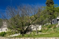 Maison SOSPEL 4367556_1