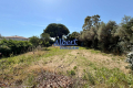 terrain OLLIOULES 4368356_1